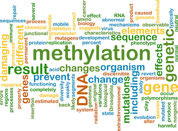Detoxification and Methylation..What?