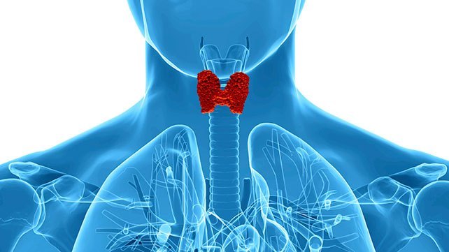 How to test for optimal thyroid health?